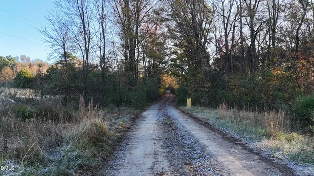 a view of a yard with a tree