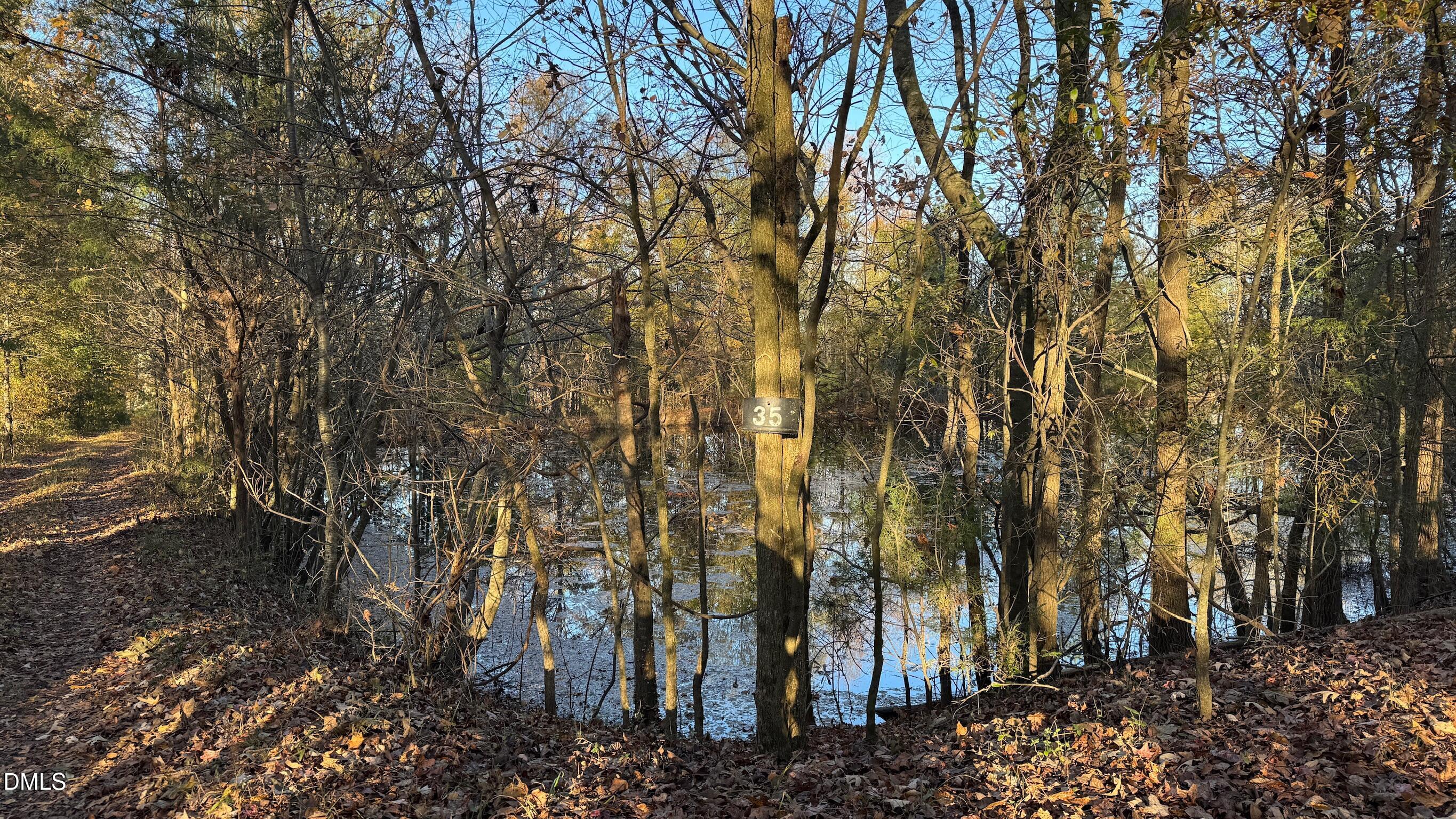 1604 Bonlee School Road Bear Creek, NC 27207 - Photo 41 of 71 a view of a forest with trees