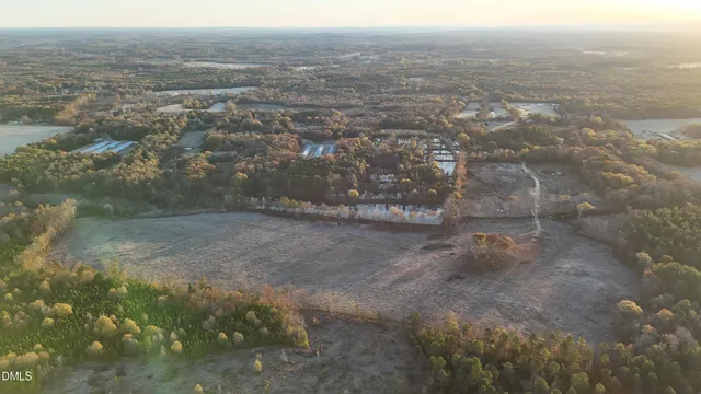 a view of a yard with plants and trees