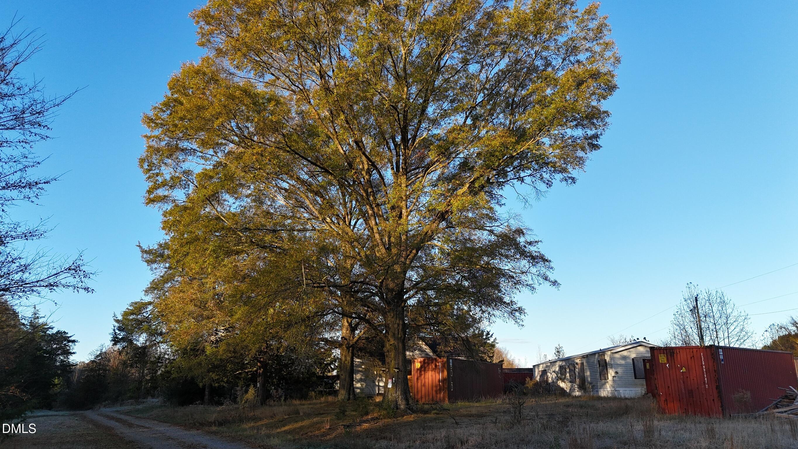 1604 Bonlee School Road Bear Creek, NC 27207 - Photo 46 of 71 a view of backyard with tree