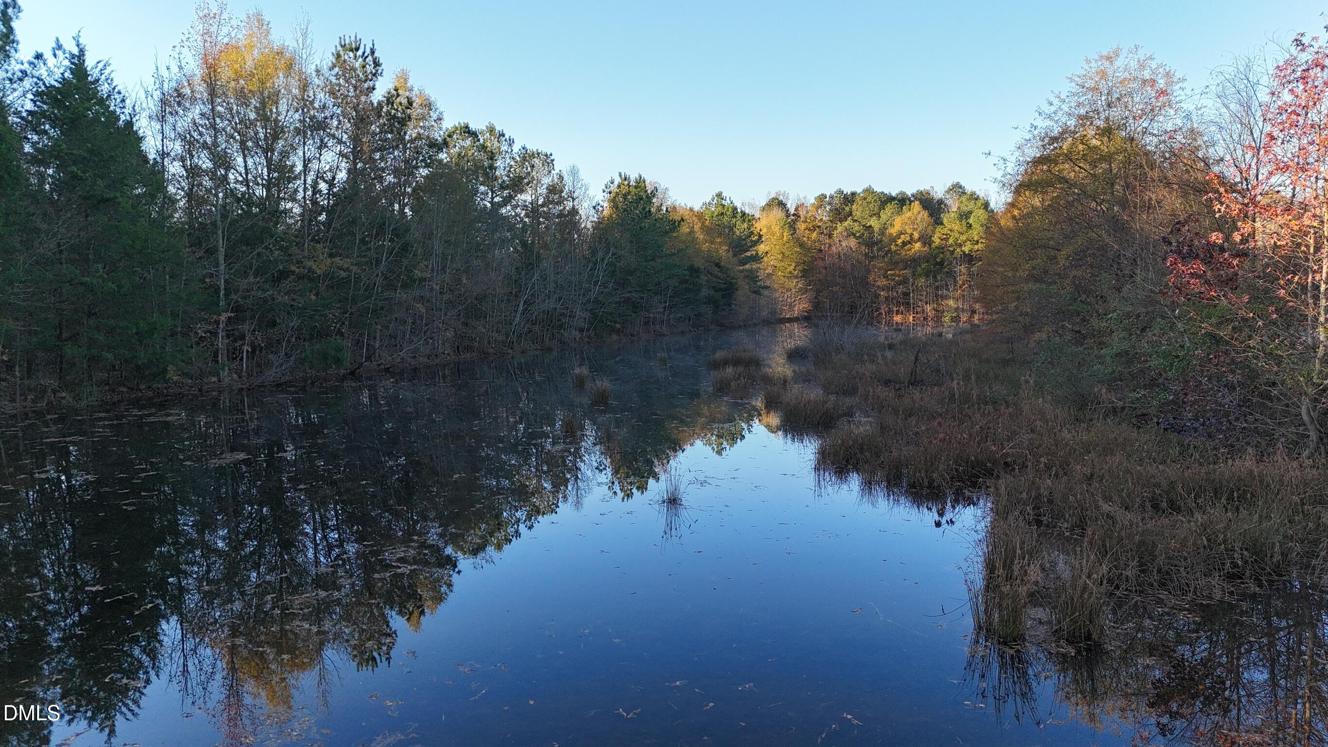 1604 Bonlee School Road Bear Creek, NC 27207 - Photo 55 of 71 a view of lake with green space