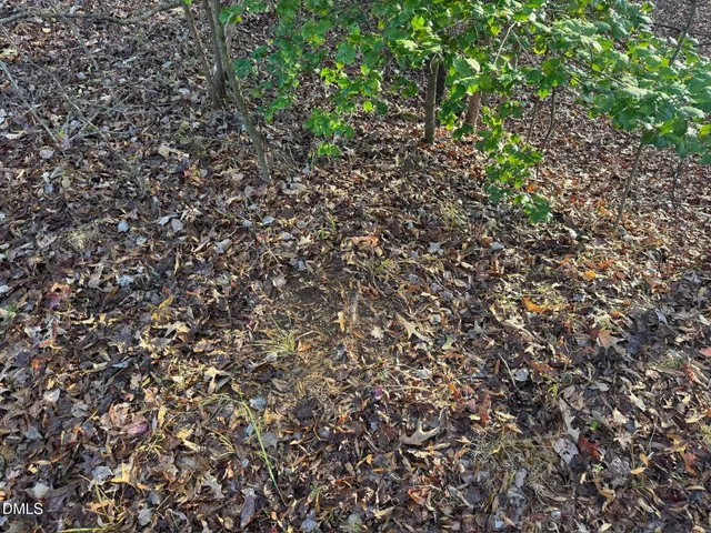 $690,000 | 1604 Bonlee School Road, Bear Creek, NC 27207