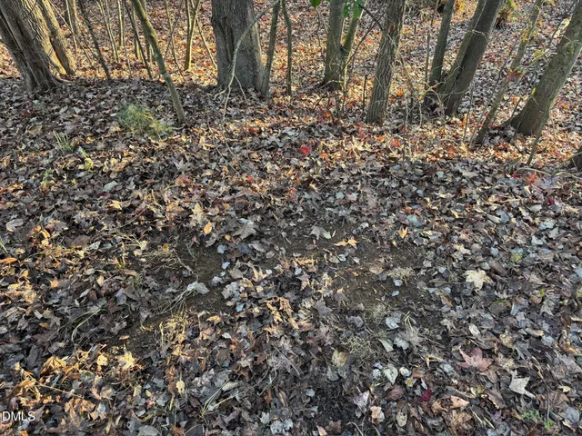 $690,000 | 1604 Bonlee School Road, Bear Creek, NC 27207