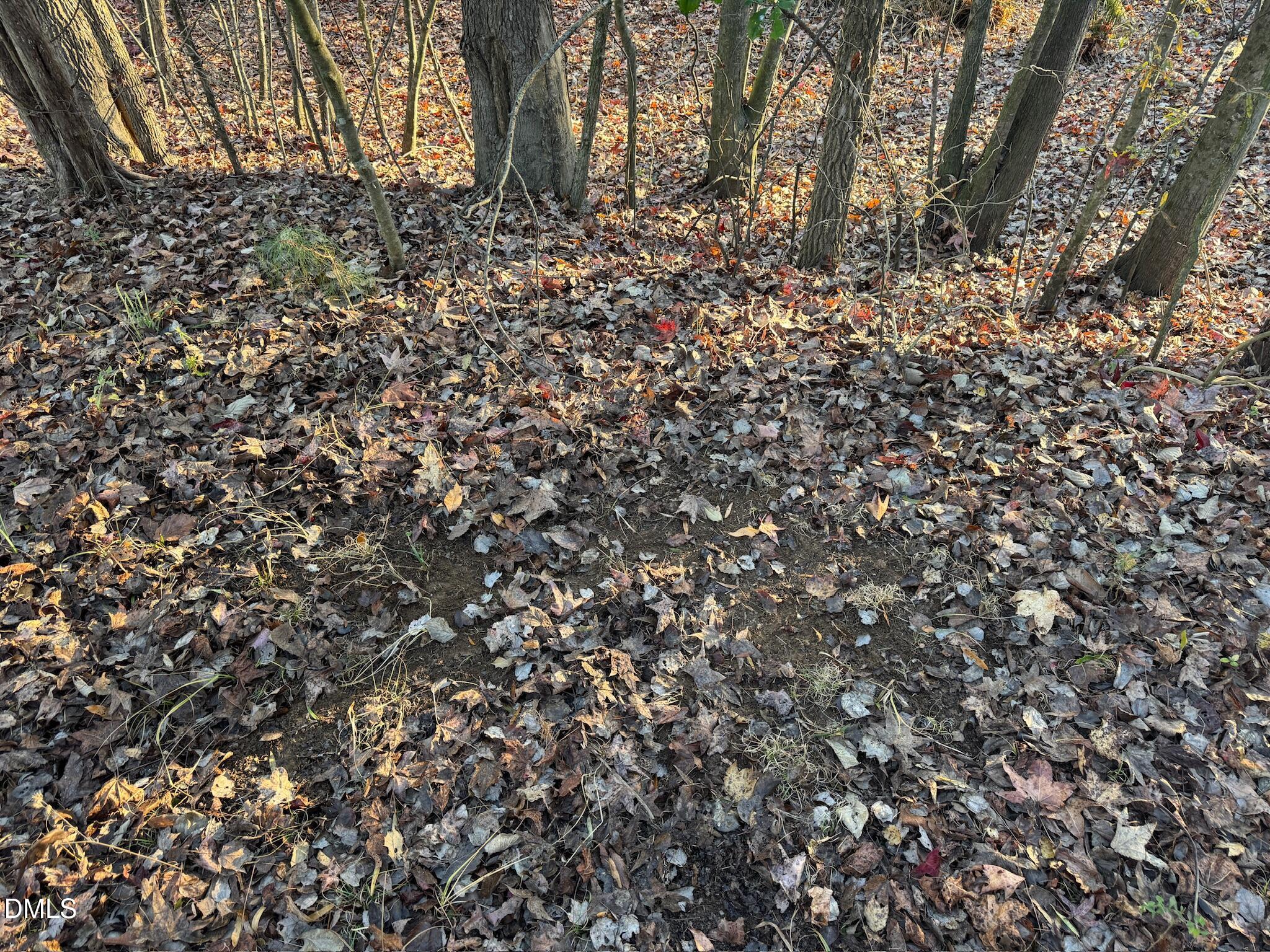 1604 Bonlee School Road Bear Creek, NC 27207 - Photo 61 of 71 IMG_8420