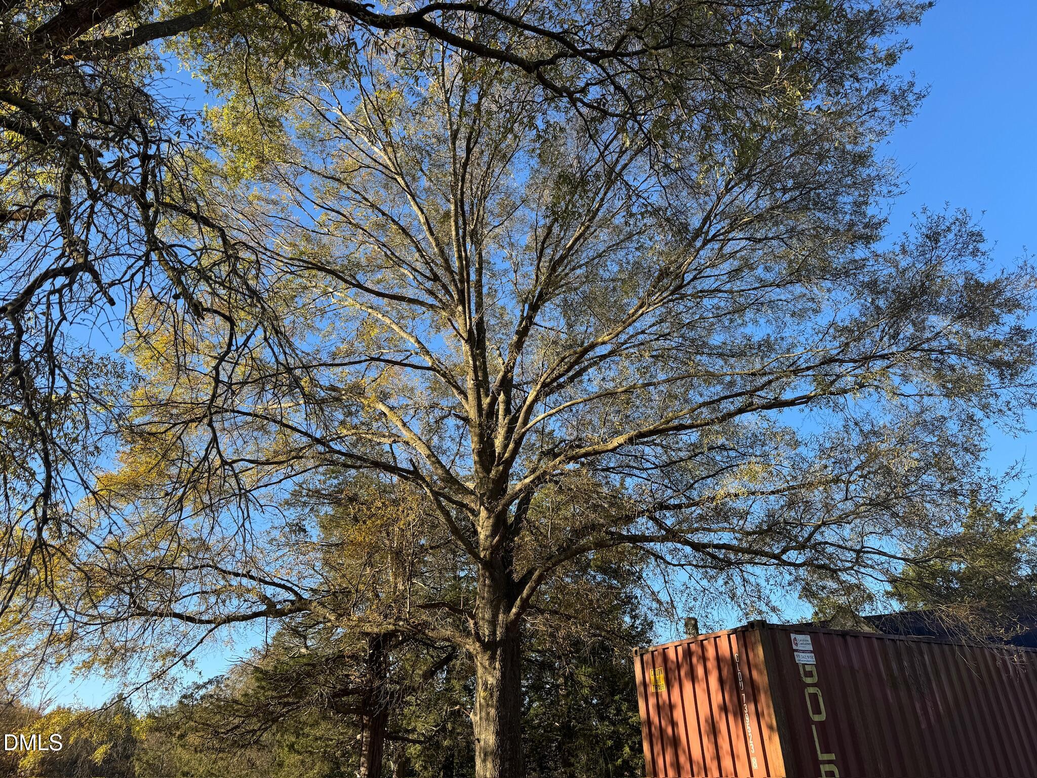 1604 Bonlee School Road Bear Creek, NC 27207 - Photo 70 of 71 a picture of tree