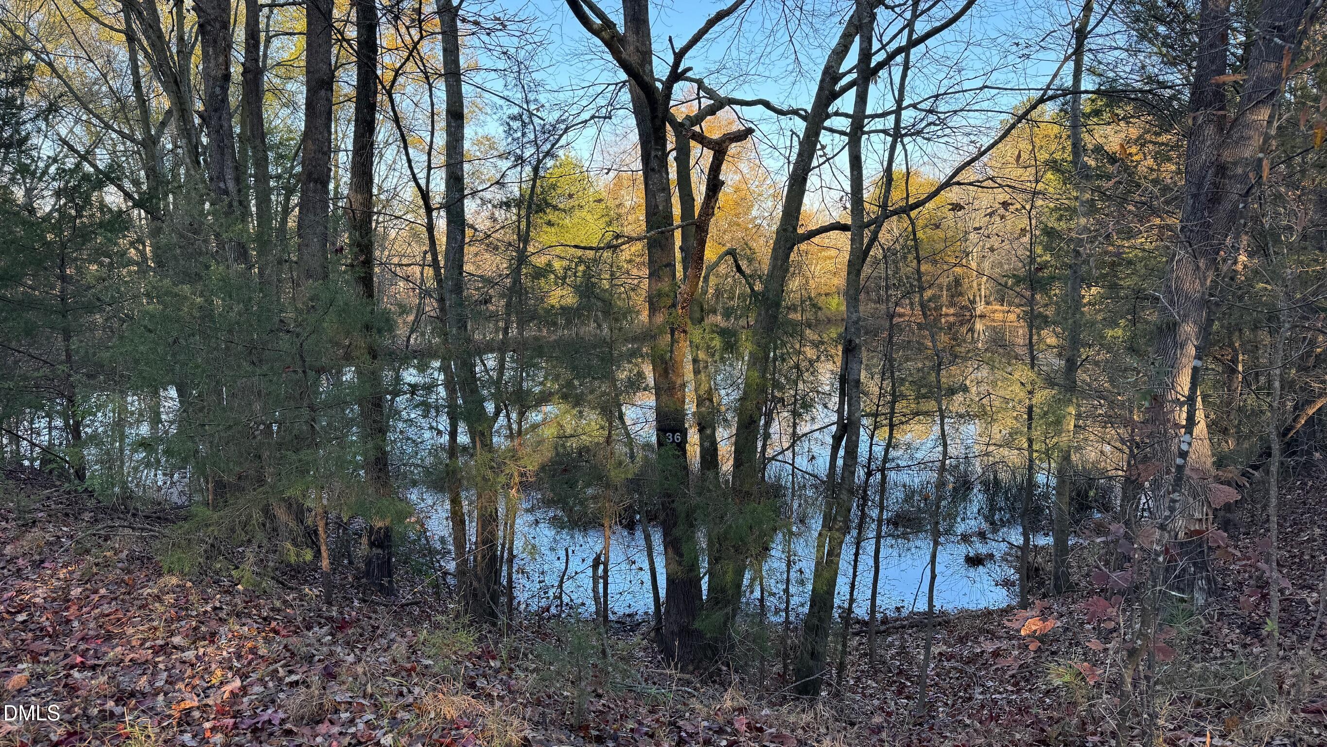 1604 Bonlee School Road Bear Creek, NC 27207 - Photo 10 of 71 a backyard of a house with lots of green space