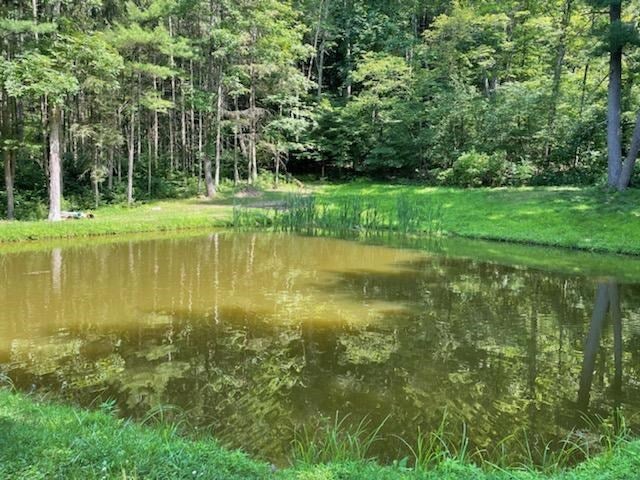 8834 Pogue Road Three Springs, PA 17264 - Photo 2 of 14 Gallery Image 2