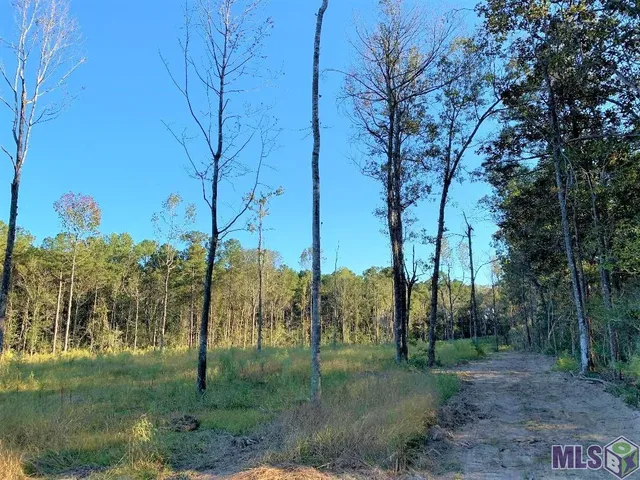 $97,920 | 1 A La Highway, Clinton, LA 70722