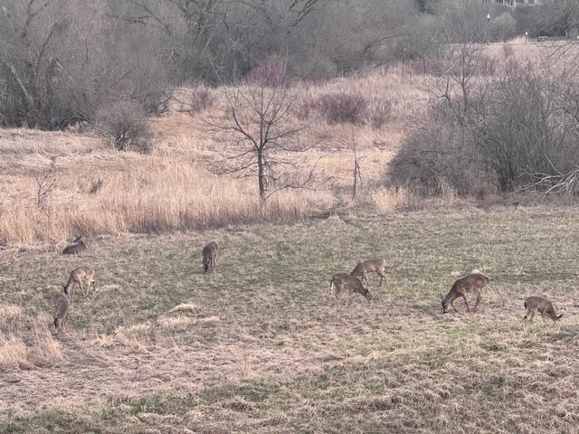 1140 Reese Trail Waunakee, WI 53597 - Photo 5 of 68