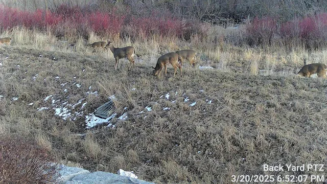 $1,706,995 | 1140 Reese Trail, Waunakee, WI 53597