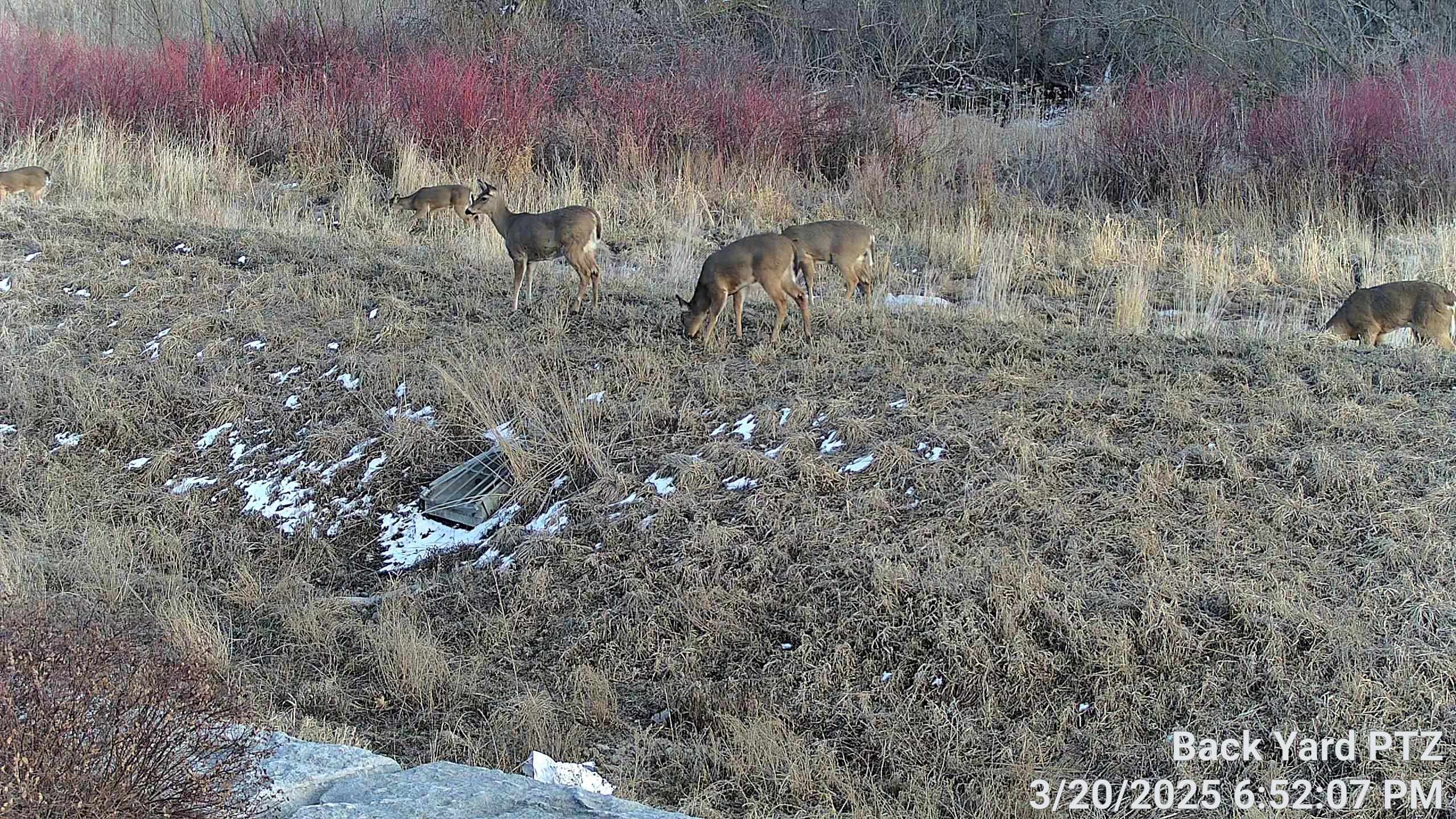 1140 Reese Trail Waunakee, WI 53597 - Photo 59 of 68