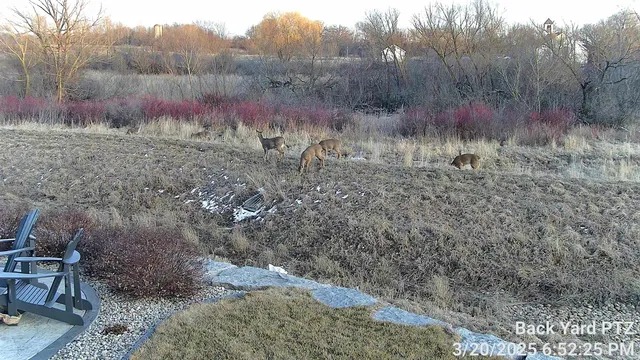 $1,706,995 | 1140 Reese Trail, Waunakee, WI 53597