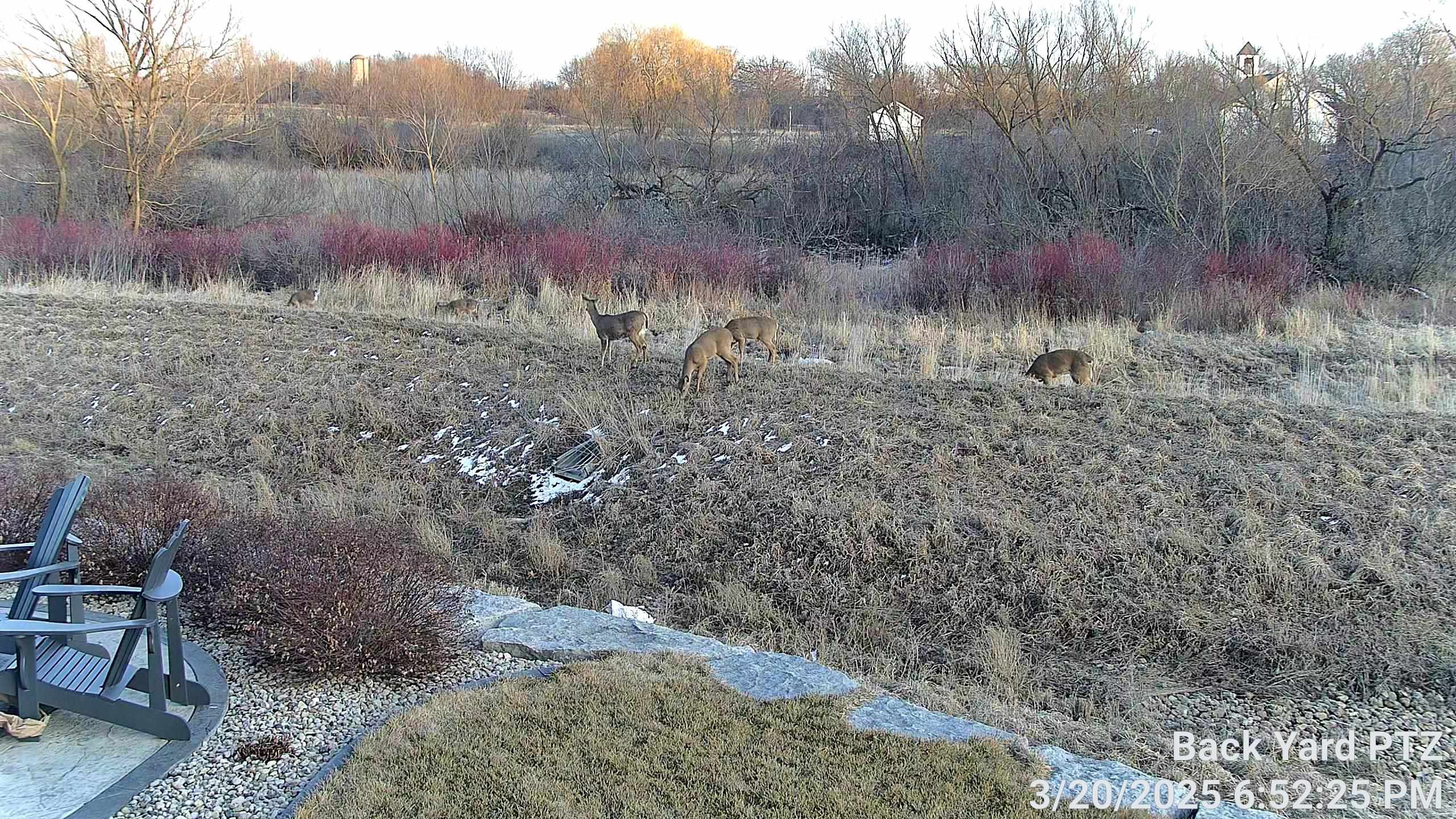 1140 Reese Trail Waunakee, WI 53597 - Photo 60 of 68