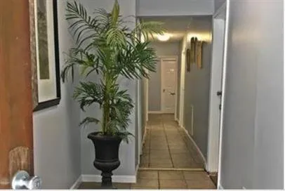 a view of a potted plant in a bathroom next to a window