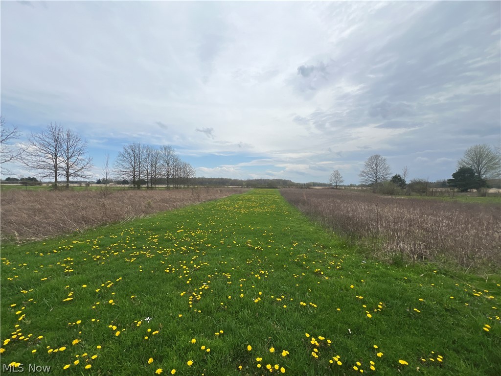 43271 Webster Road Wellington, OH 44090 - Photo 27 of 30 Gallery Image 27