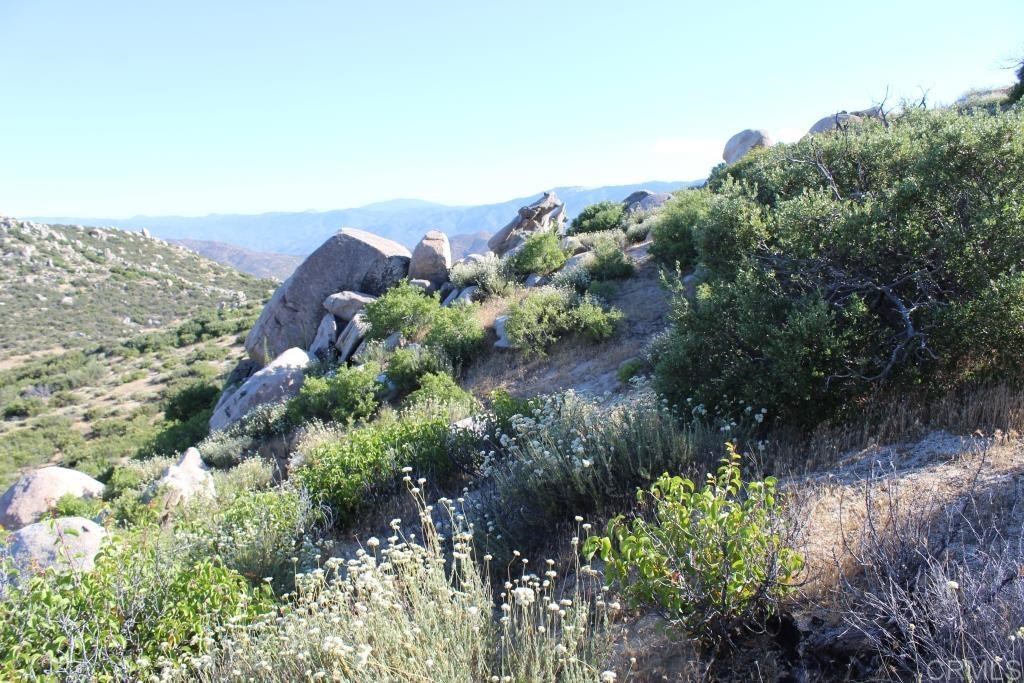 0 Grapevine Canyon Road Ranchita, CA 92066 - Photo 22 of 25