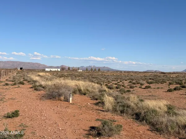 a view of a dry yard