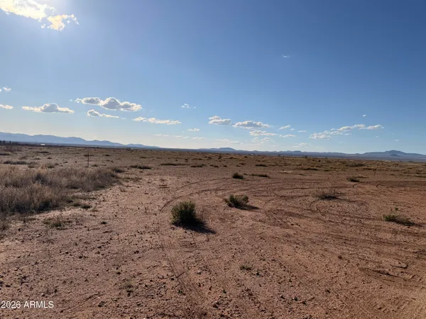 a view of a dry yard with wooden fence