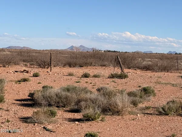 a view of a dry yard with mountains in the background