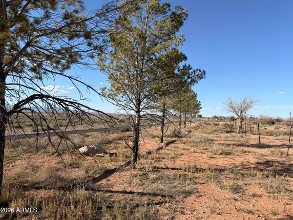 a kitchen with stainless steel appliances kitchen island granite countertop a sink a stove and a refrigerator