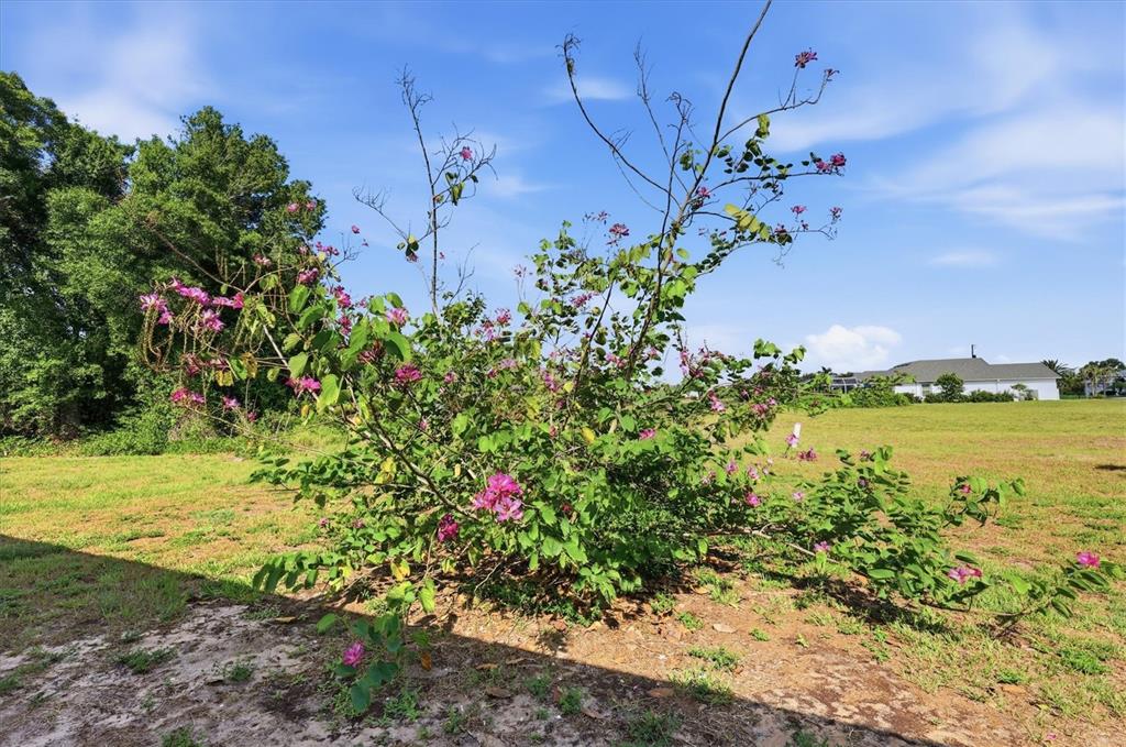258 Rio De Janeiro Avenue Punta Gorda, FL 33983 - Photo 25 of 34