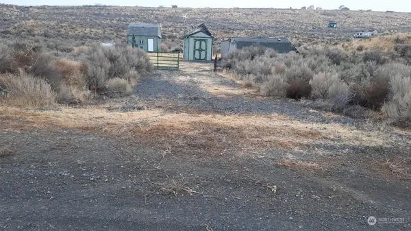 a view of a dry yard with wooden fence