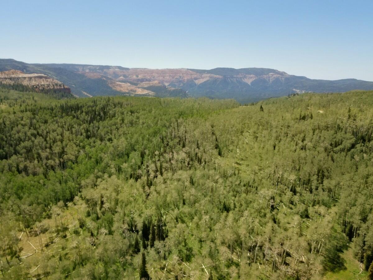 40 Acres Summit Mountain Road Brian Head, UT 84719 - Photo 25 of 32 Aerial3