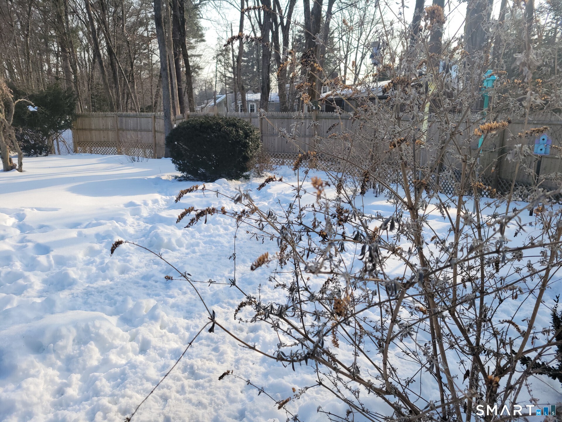 41 East Granby Road Granby, CT 06035 - Photo 3 of 61 a view of outdoor space and yard
