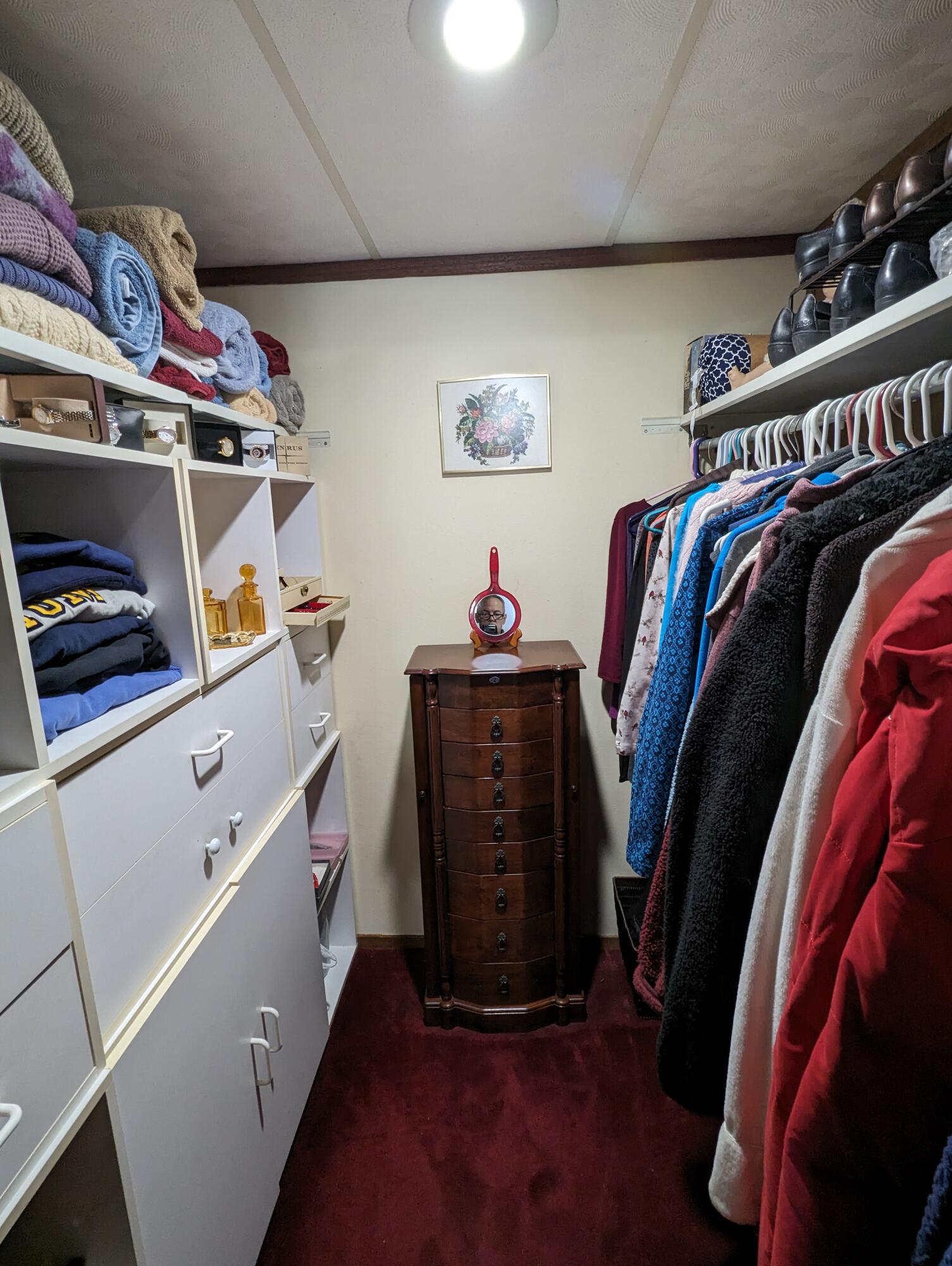 8166 Chamberlin Road Dexter, MI 48130 - Photo 57 of 103 Mstr Closet 1
