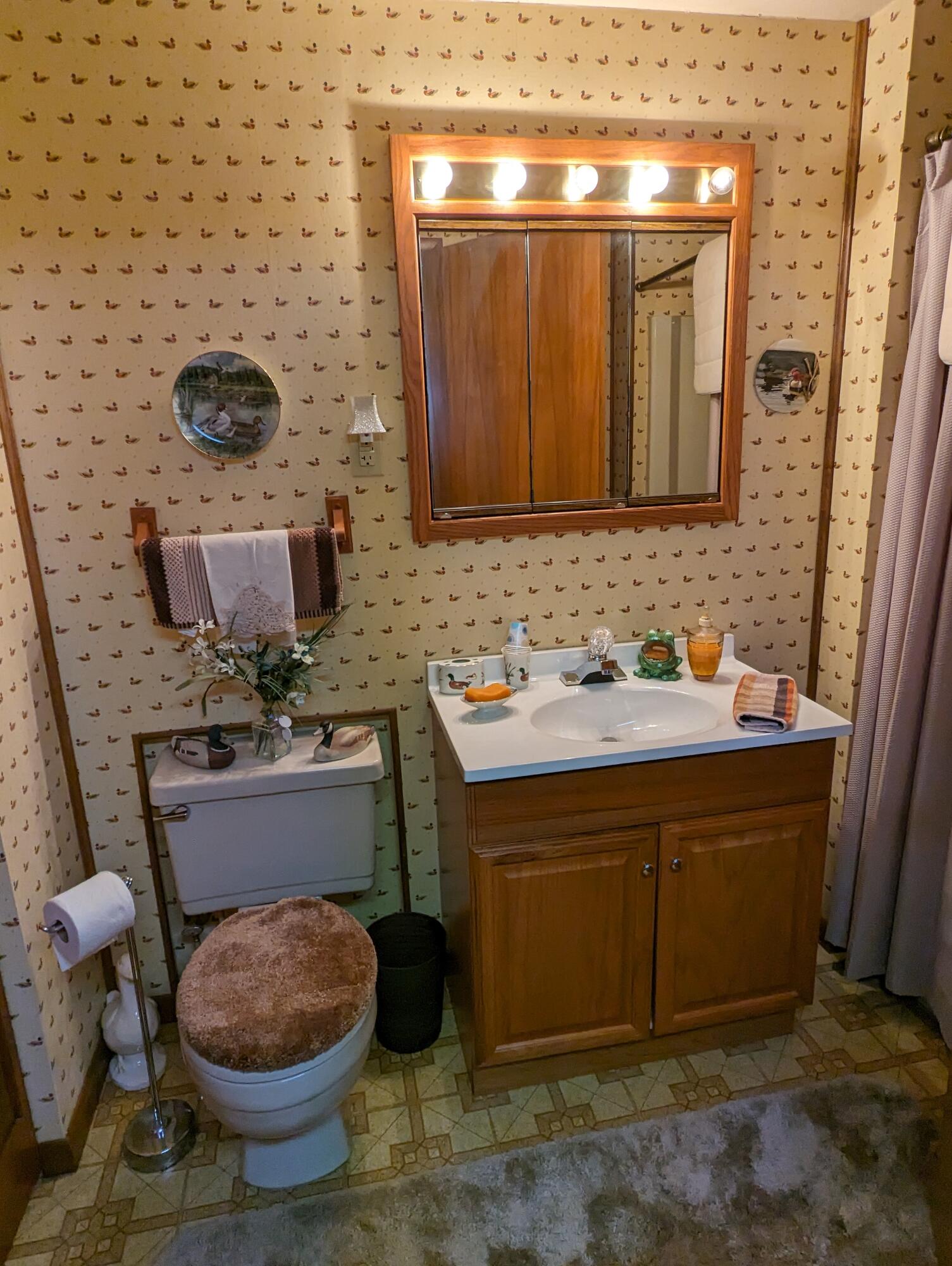8166 Chamberlin Road Dexter, MI 48130 - Photo 67 of 103 Up Bath 2