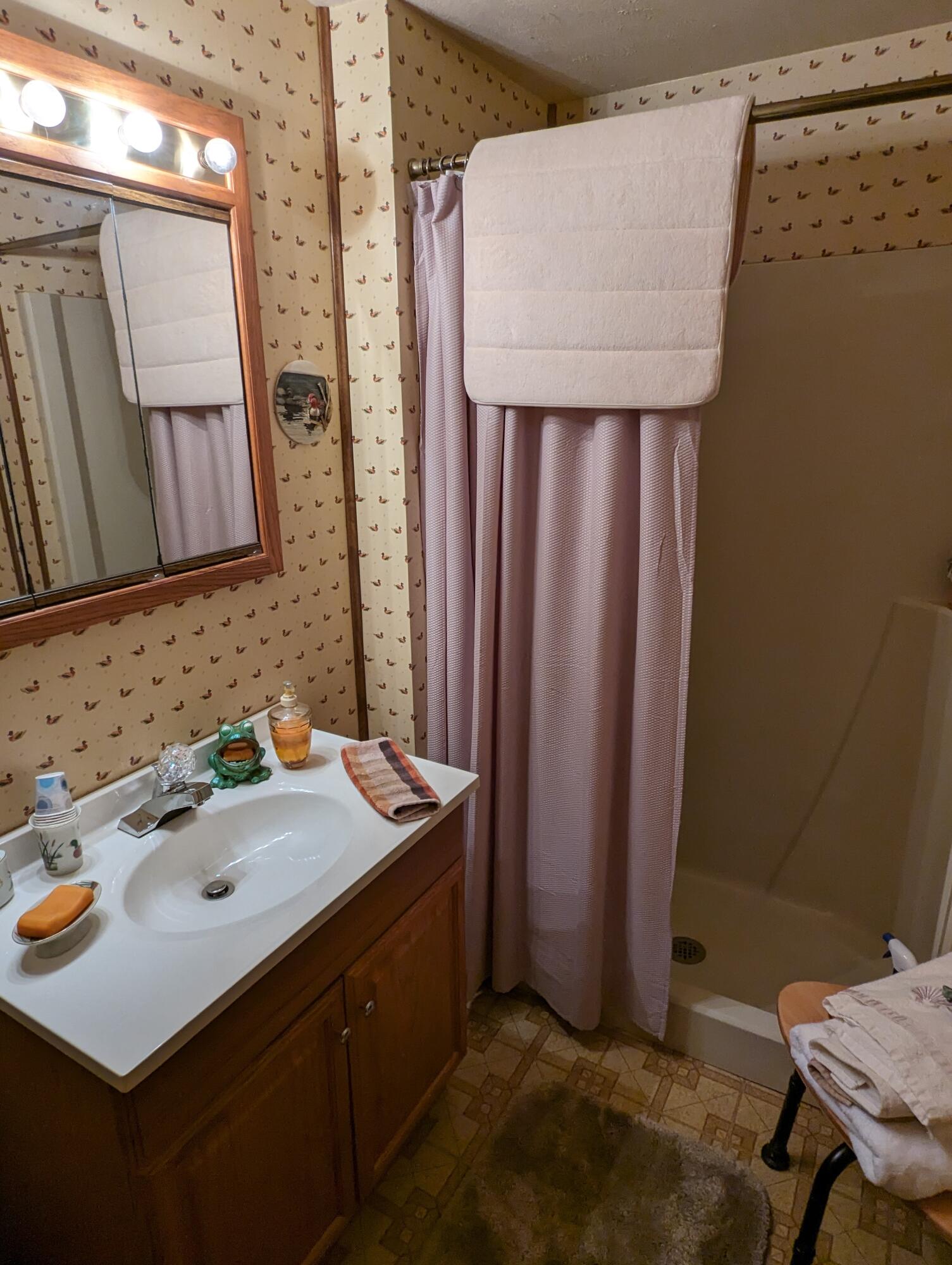 8166 Chamberlin Road Dexter, MI 48130 - Photo 68 of 103 Up Bath 1