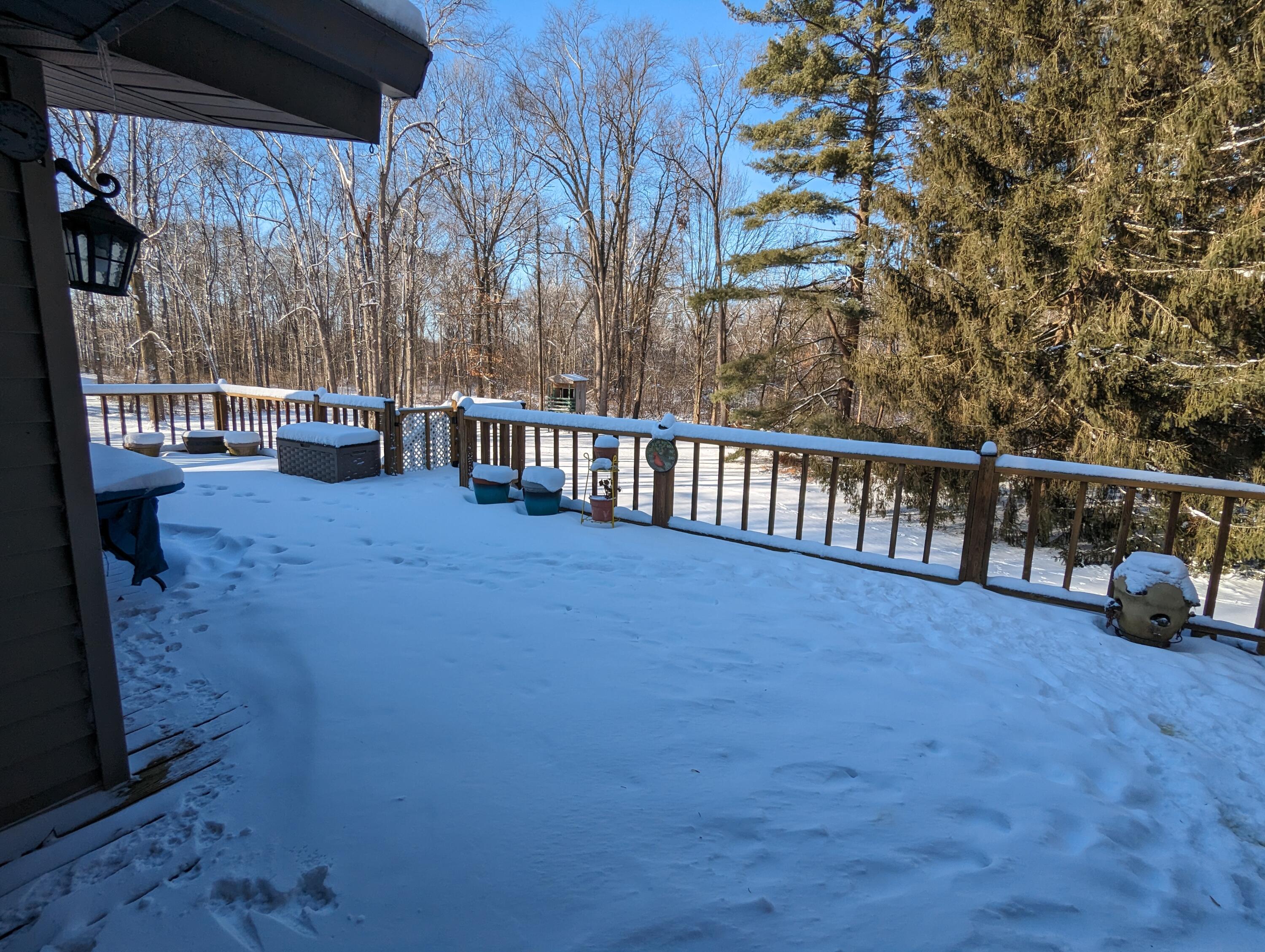 8166 Chamberlin Road Dexter, MI 48130 - Photo 83 of 103 Deck 1