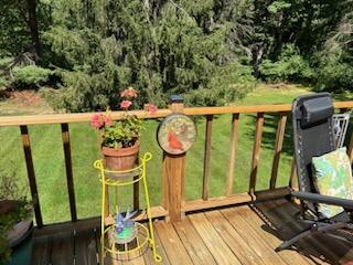 8166 Chamberlin Road Dexter, MI 48130 - Photo 89 of 103 Sum Deck 2
