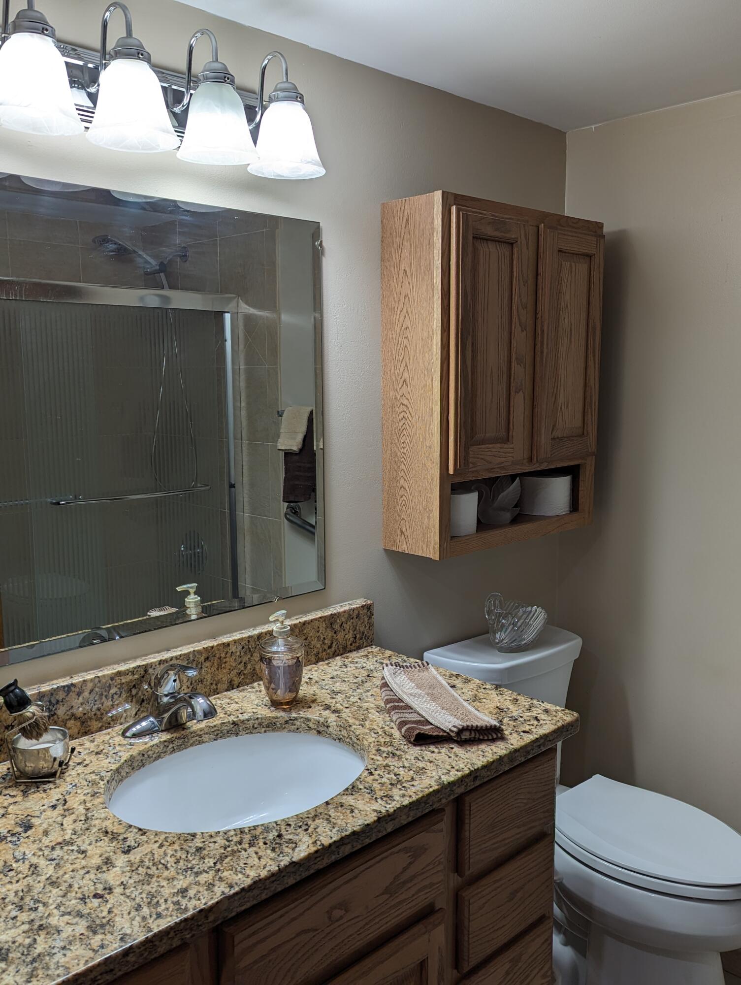8166 Chamberlin Road Dexter, MI 48130 - Photo 99 of 103 Mstr Bth 5