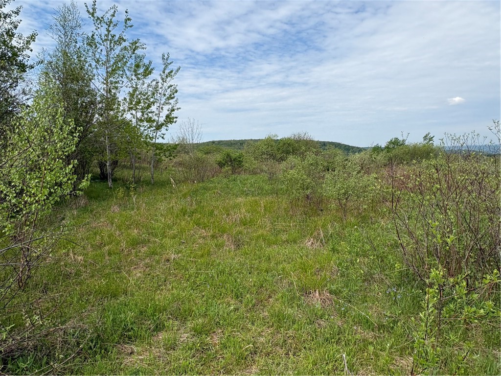 Wahlberg Road Guilford, NY 13780 - Photo 16 of 25