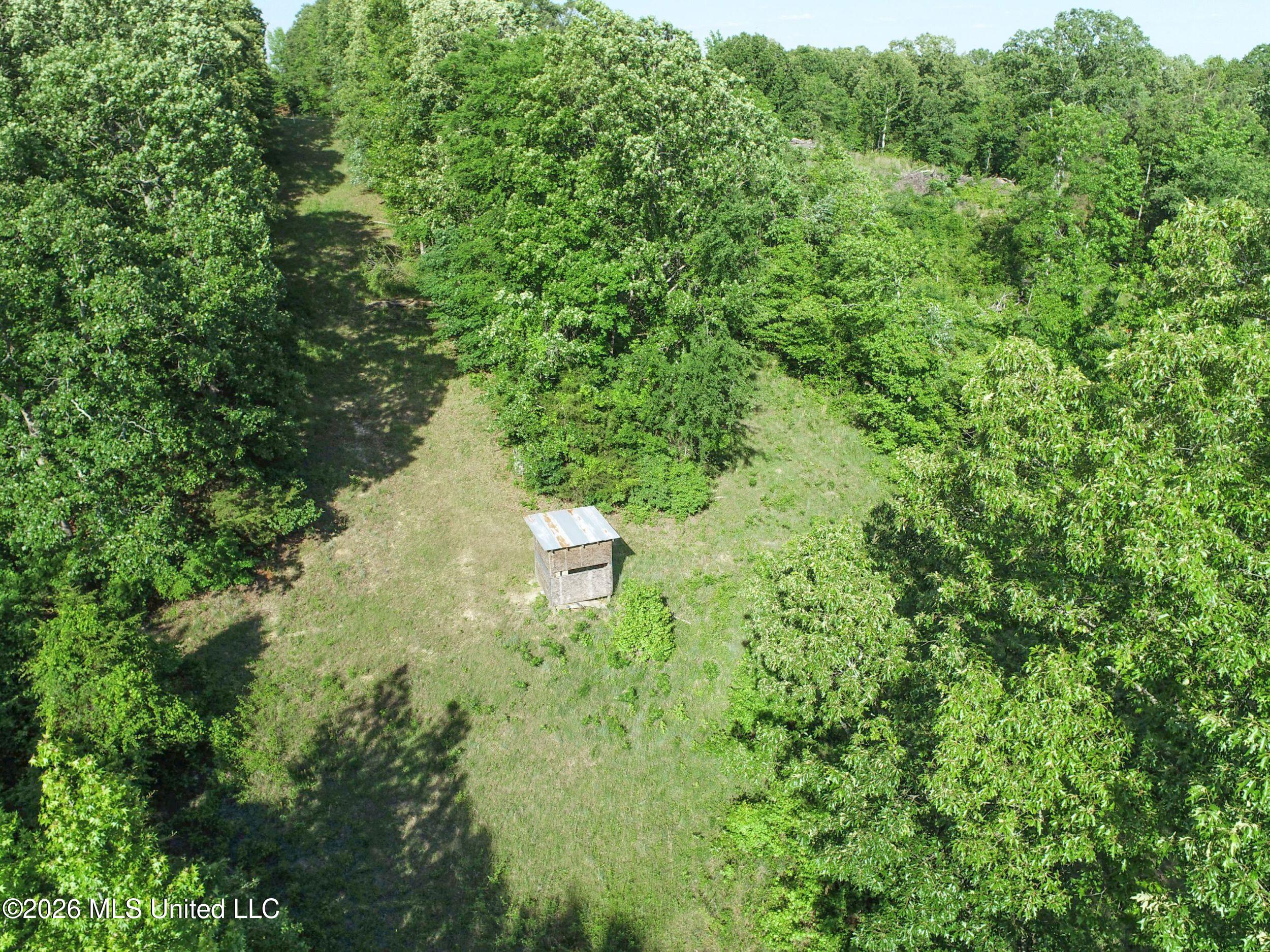 Wayne Massie Road Como, MS 38619 - Photo 68 of 184 3ctwmrd50