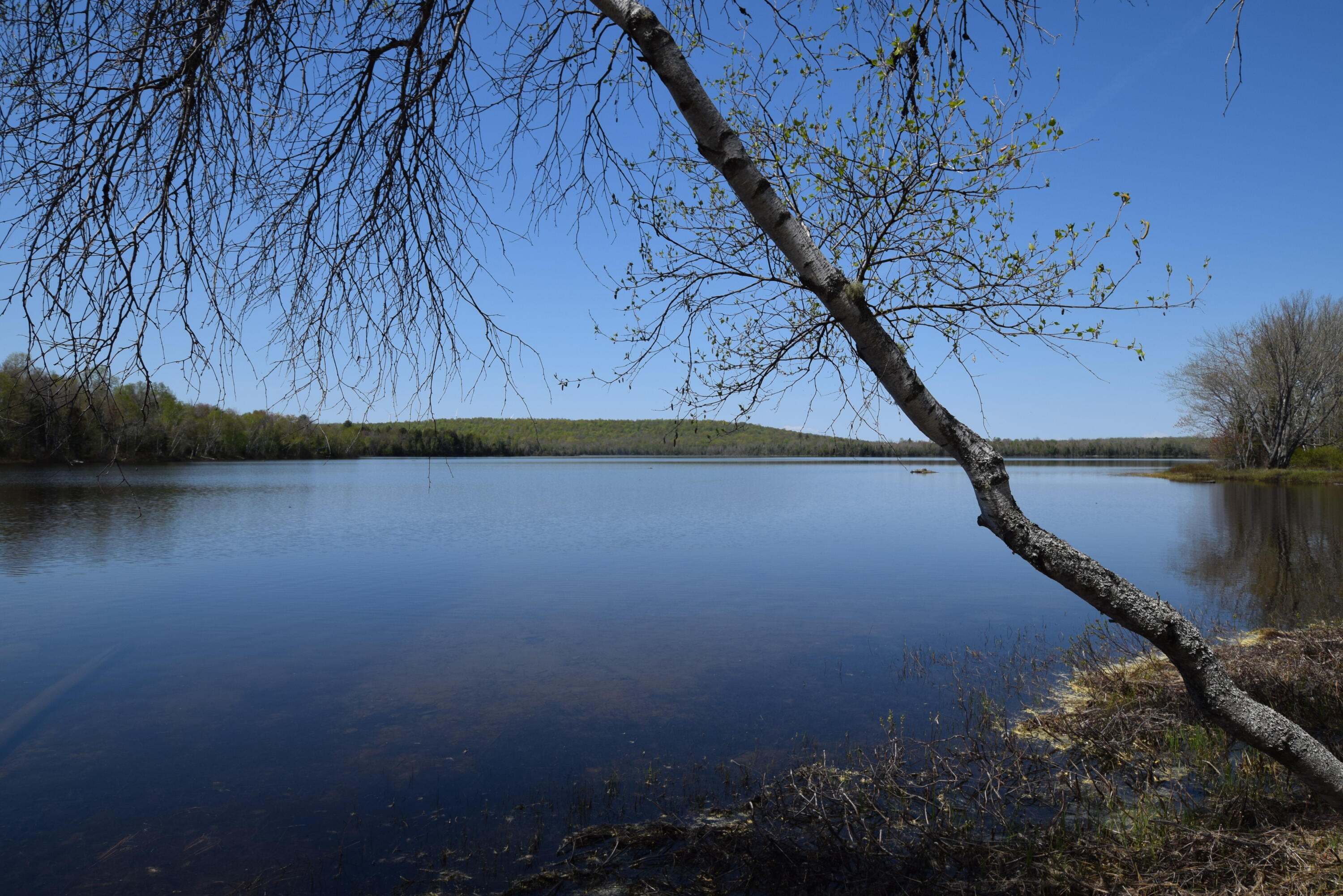 Lot 2 Lakeview Road Danforth, ME 04424 - Photo 1 of 5 Lower Hot Brook Lake