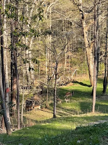 $229,000 | 70 Deer Haven Trail, Murphy, NC 28906