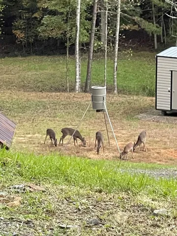 $229,000 | 70 Deer Haven Trail, Murphy, NC 28906