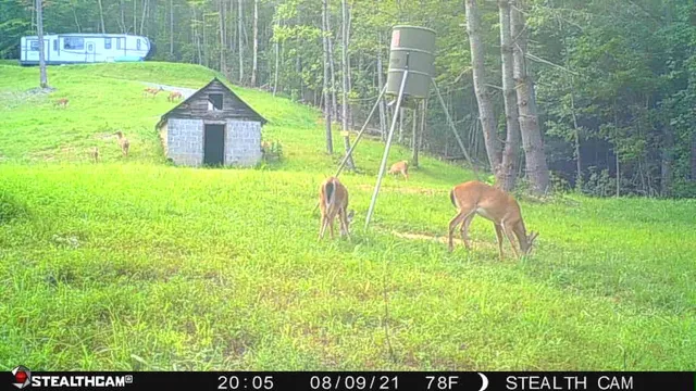 $229,000 | 70 Deer Haven Trail, Murphy, NC 28906