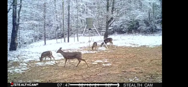 $229,000 | 70 Deer Haven Trail, Murphy, NC 28906