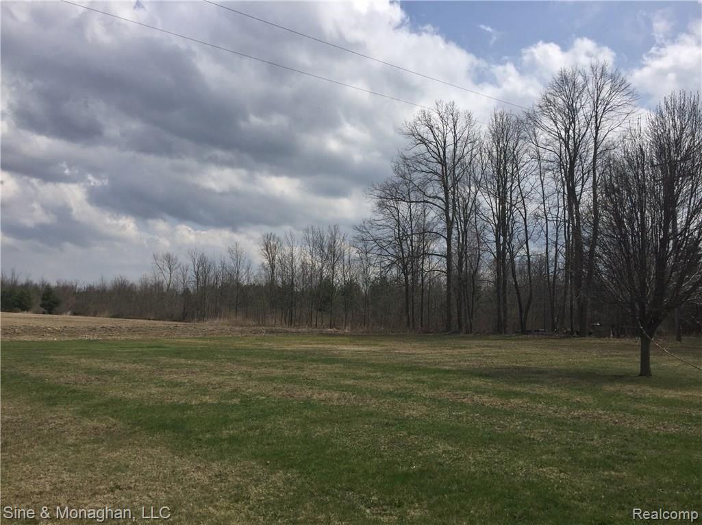 1495 Palms Road Columbus, MI 48063 - Photo 15 of 19 IMG_4863 (2).jpg