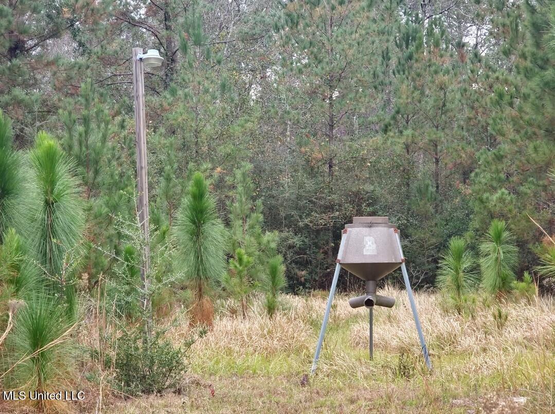 105 T V Tower Road Perkinston, MS 39573 - Photo 20 of 20 1000044244