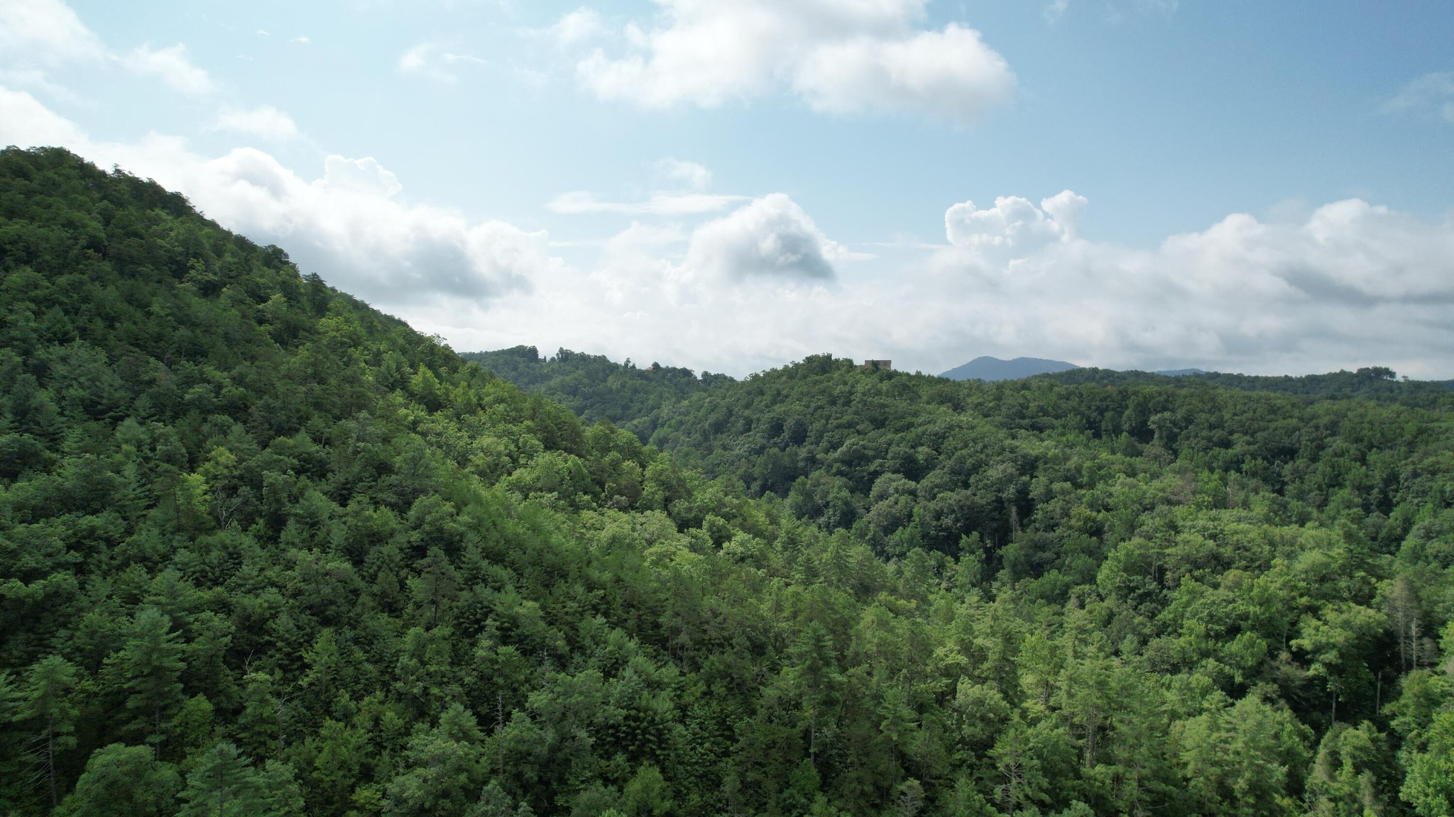 98 Black Powder Lane Sevierville, TN 37862 - Photo 30 of 30
