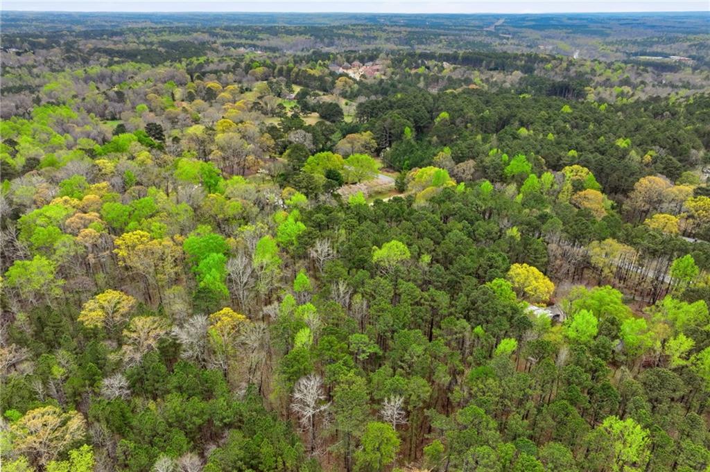 3405 Monica Lane Southwest Conyers, GA 30094 - Photo 19 of 26 a view of a city with lush green forest