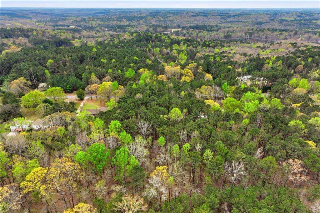 3405 Monica Lane Southwest Conyers, GA 30094 - Photo 20 of 26 a view of a bunch of trees and bushes
