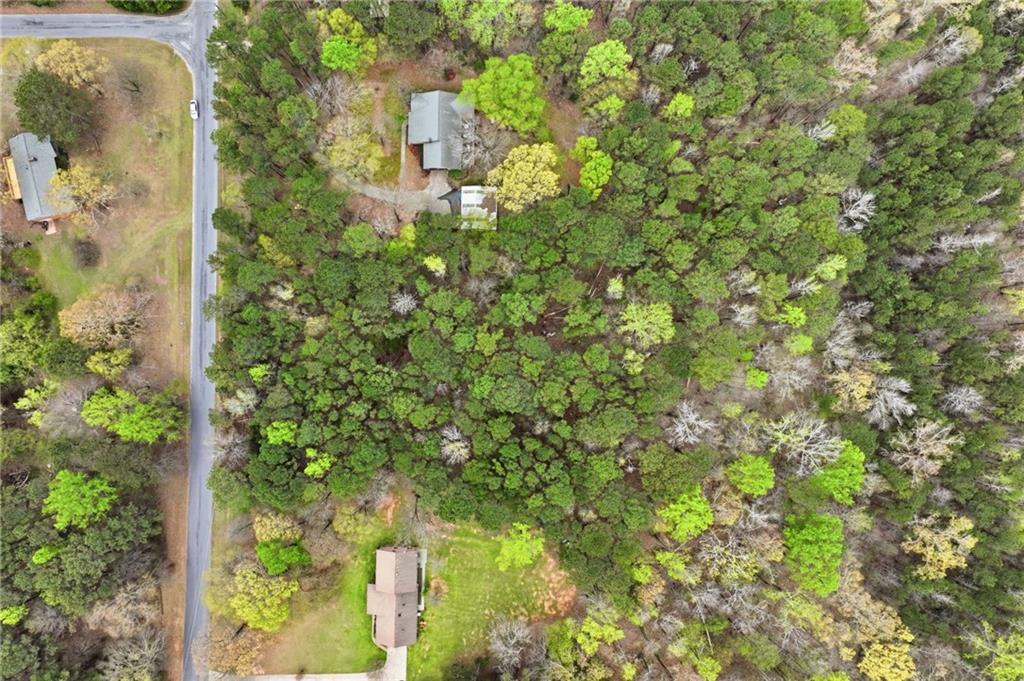 3405 Monica Lane Southwest Conyers, GA 30094 - Photo 24 of 26 a view of a yard with plants and tree