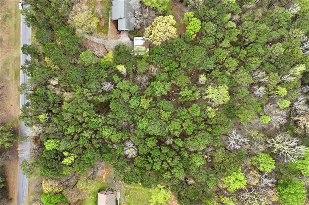 3405 Monica Lane Southwest Conyers, GA 30094 - Photo 25 of 26 a view of a lush green forest with a tree