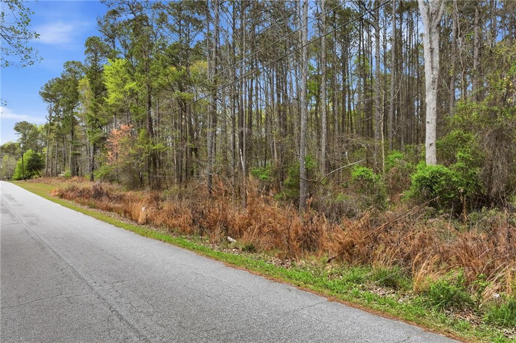 3405 Monica Lane Southwest Conyers, GA 30094 - Photo 3 of 26 a view of a garden with tall trees