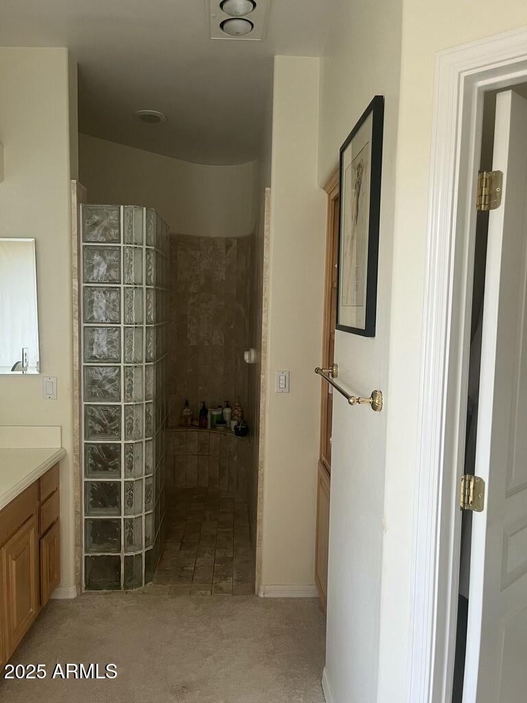 11519 East Blue Wash Road Scottsdale, AZ 85262 - Photo 31 of 42 a view of bathroom